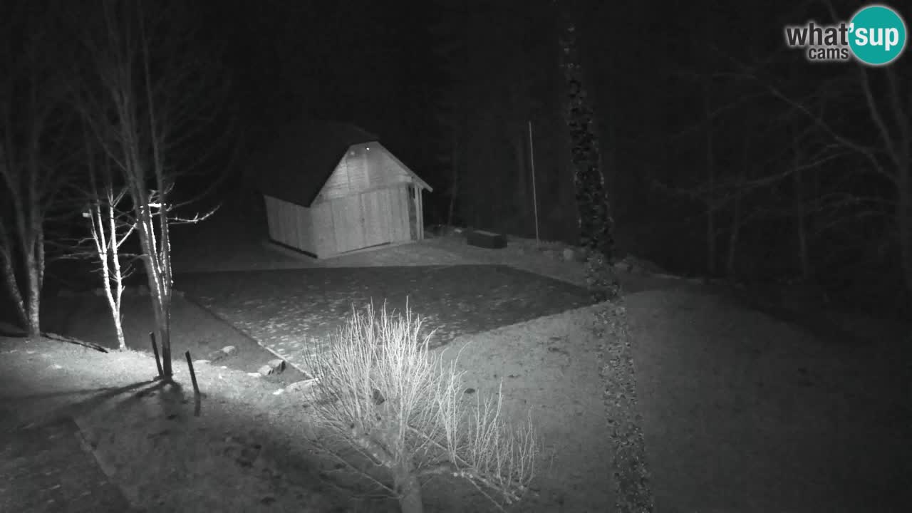 Webcam Lukanja – Water Village | Pohorje Houses