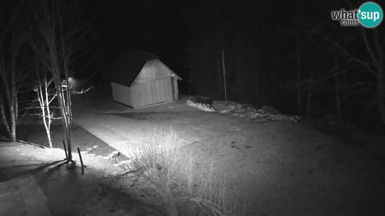 Webcam Lukanja – Water Village | Pohorje Houses