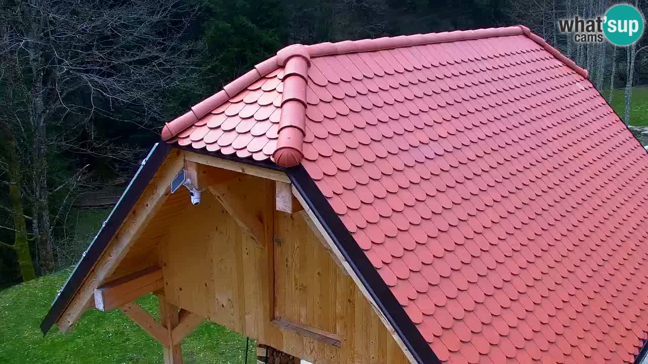 Webcam Lukanja – Water Village | Pohorje Houses