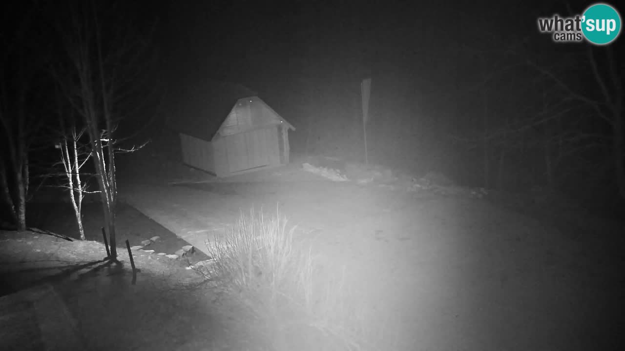 Spletna kamera Lukanja – Water Village | Pohorje Houses