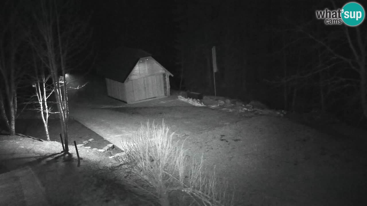 Webcam Lukanja – Water Village | Pohorje Houses