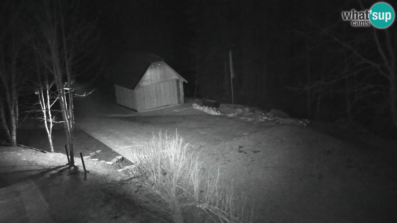 Webcam Lukanja – Water Village | Pohorje Houses