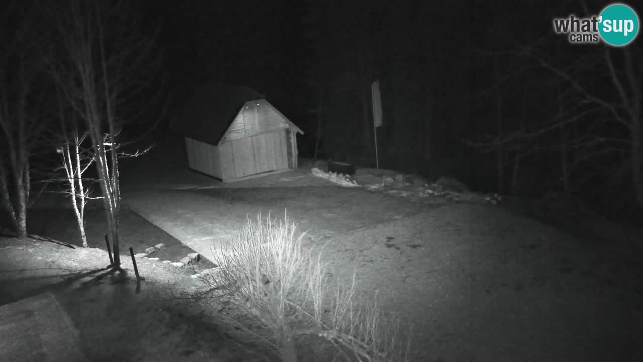 Webcam Lukanja – Water Village | Pohorje Houses