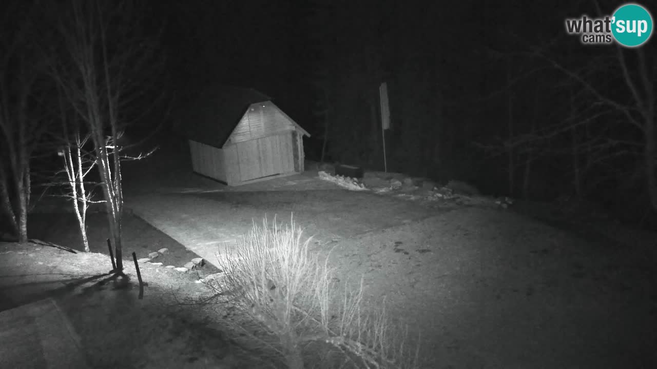 Webcam Lukanja – Pohorje houses a Water village