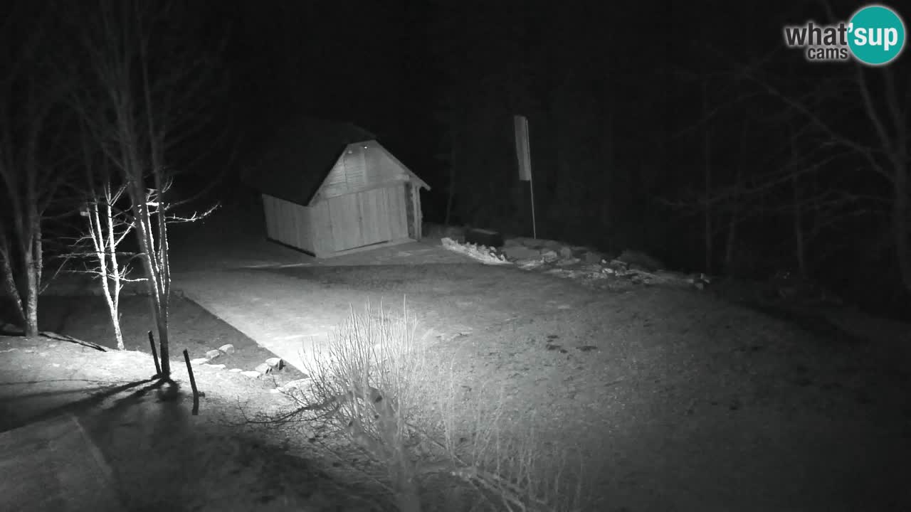 Webcam Lukanja – Pohorje houses a Water village