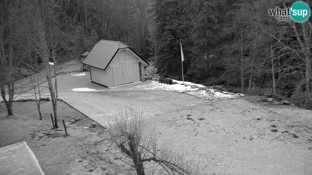 Web kamera Lukanja – Water Village | Pohorje Houses