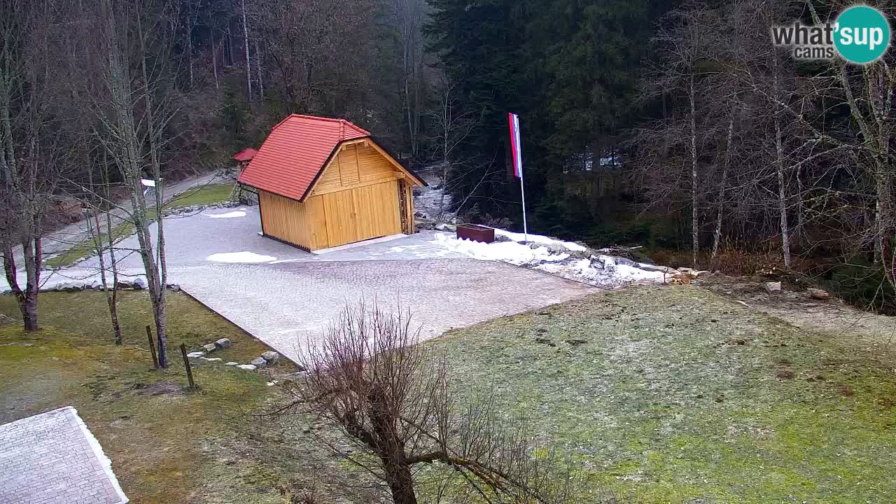 Spletna kamera Lukanja – Water Village | Pohorje Houses