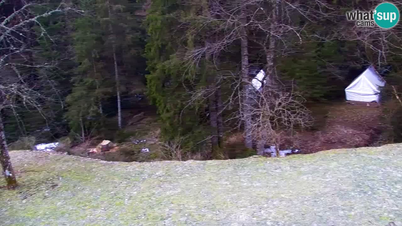 Spletna kamera Lukanja – Water Village | Pohorje Houses