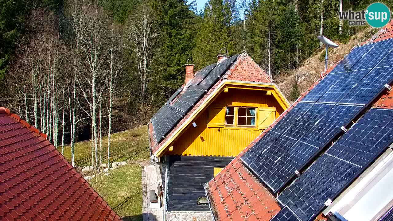 Webcam Lukanja – Water Village | Pohorje Houses