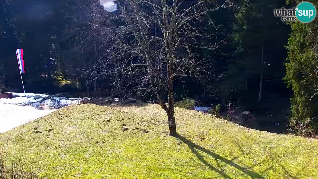 Webcam Lukanja – Water Village | Pohorje Houses