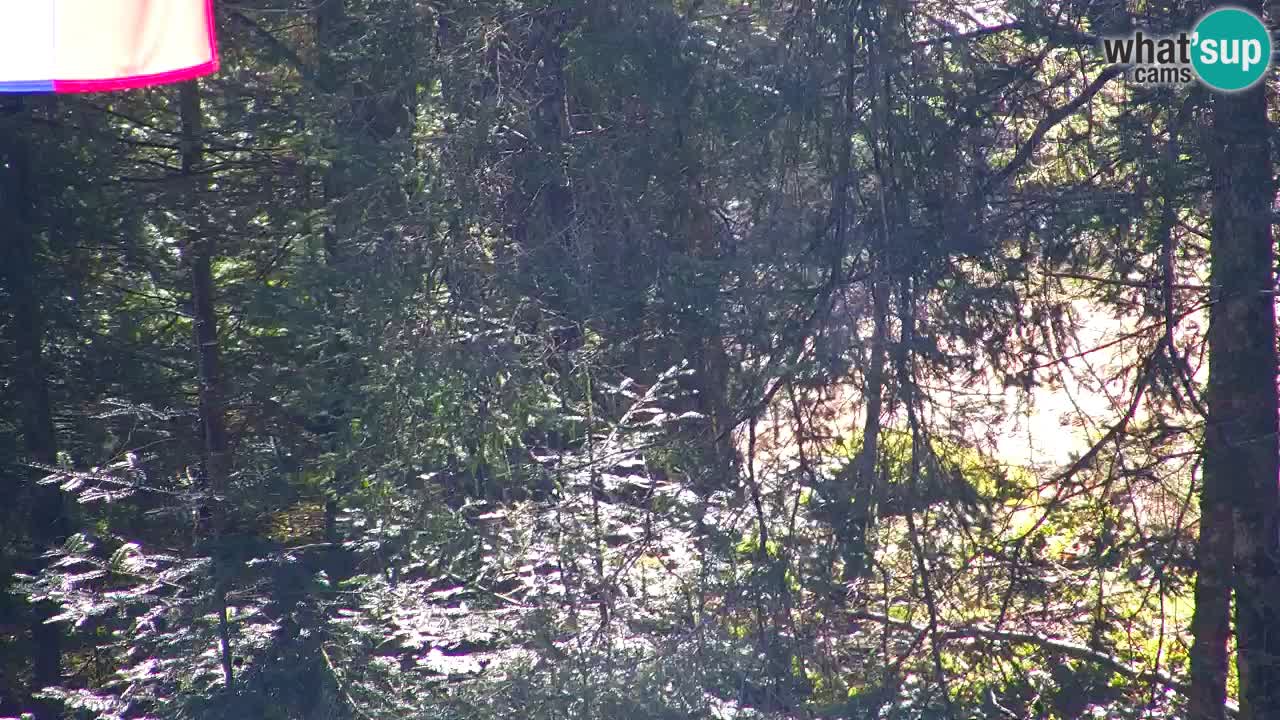 Webcam Lukanja – Pohorje houses a Water village