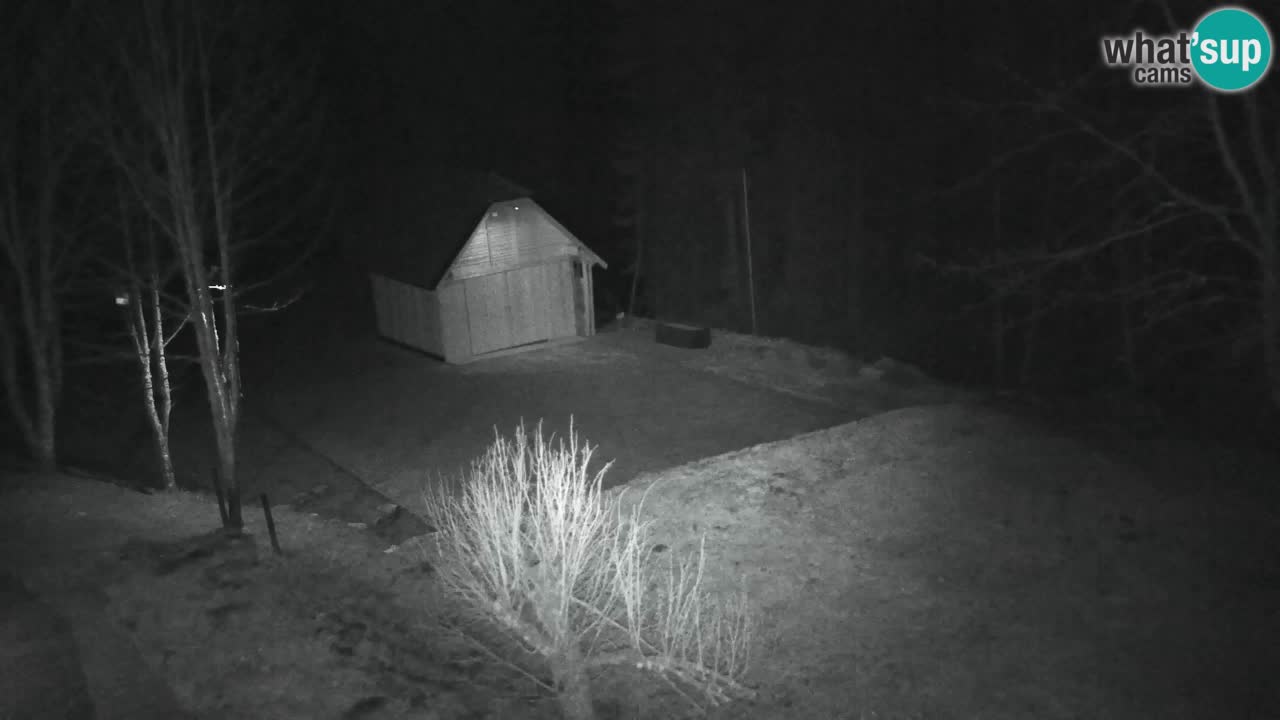 Spletna kamera Lukanja – Water Village | Pohorje Houses