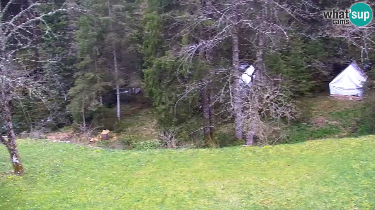 Webcam Lukanja – Water Village | Pohorje Houses