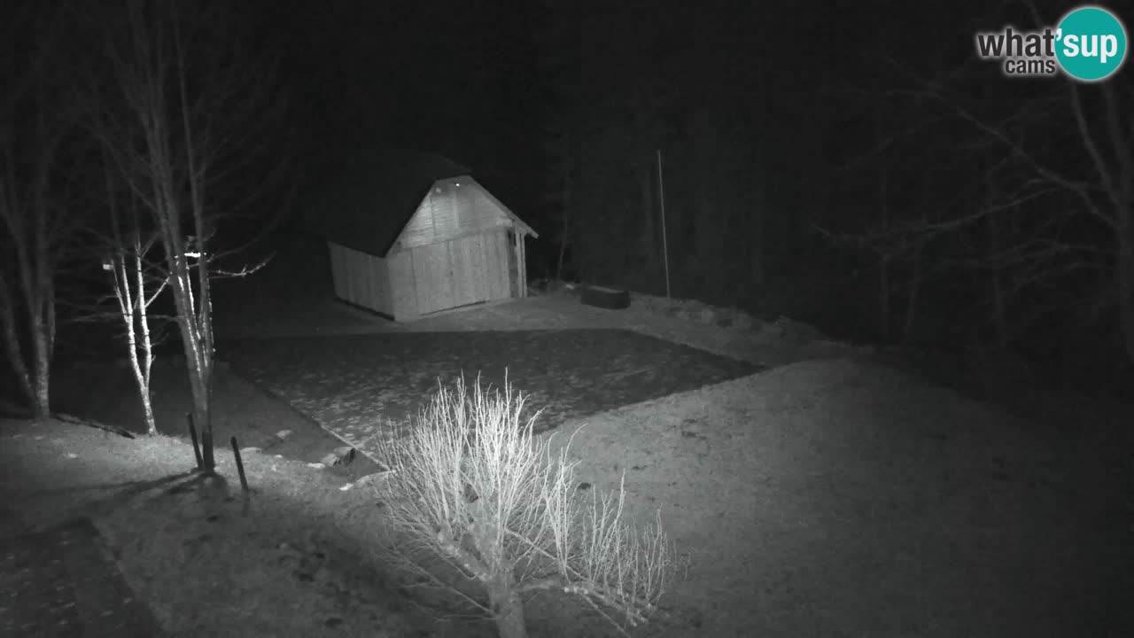 Webcam Lukanja – Water Village | Pohorje Houses