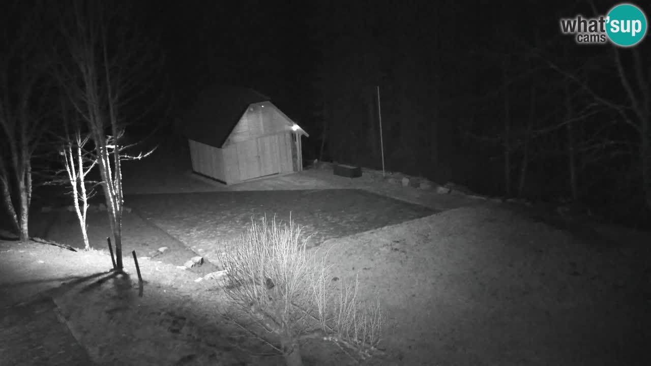 Webcam Lukanja – Pohorje houses a Water village