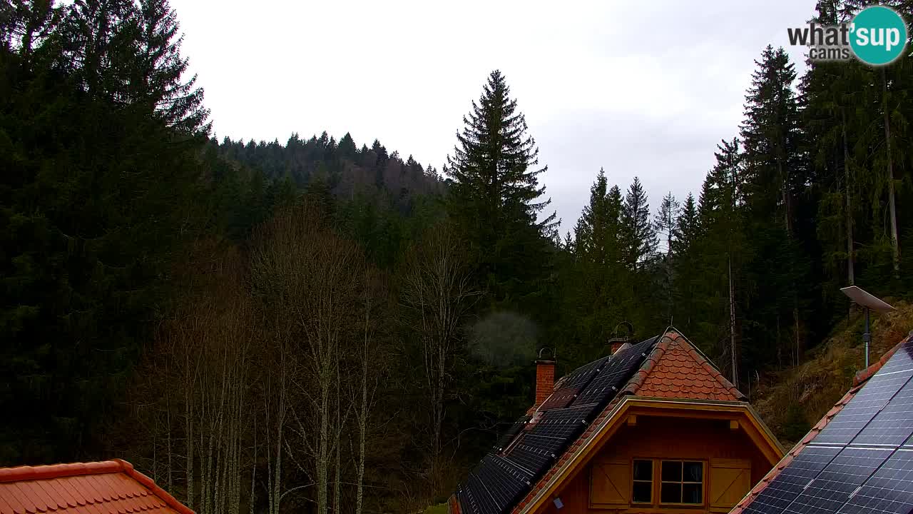 Spletna kamera Lukanja – Water Village | Pohorje Houses