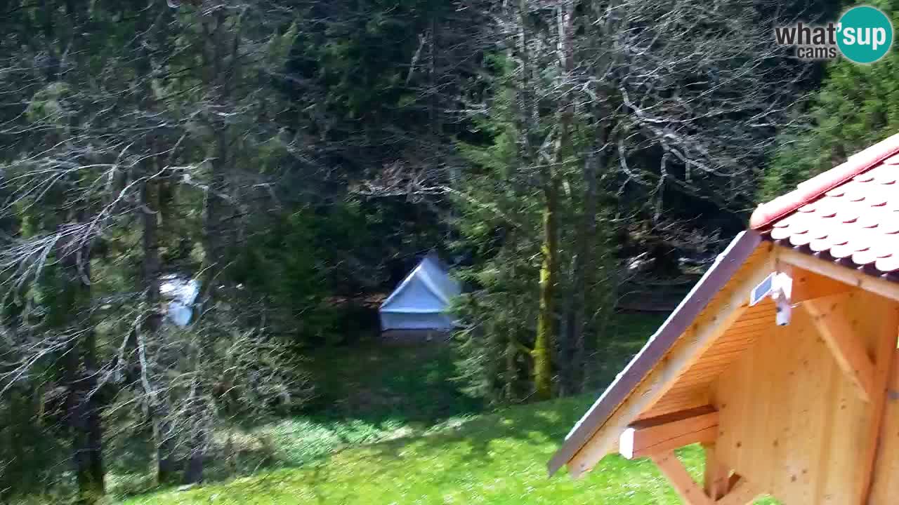 Webcam Lukanja – Water Village | Pohorje Houses