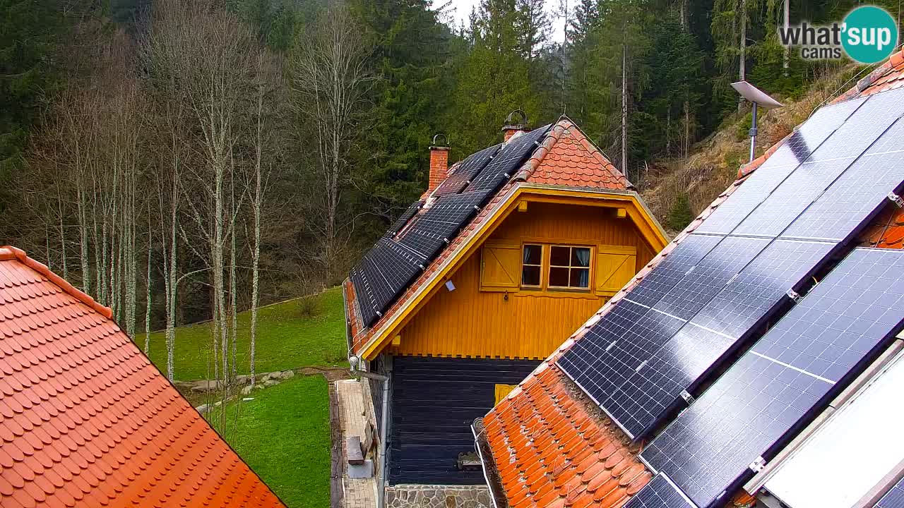 Webcam Lukanja – Pohorje houses a Water village