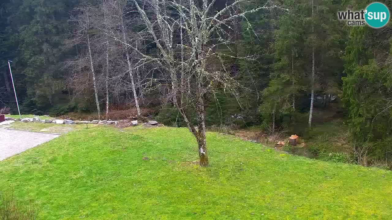 Webcam Lukanja – Pohorje houses a Water village