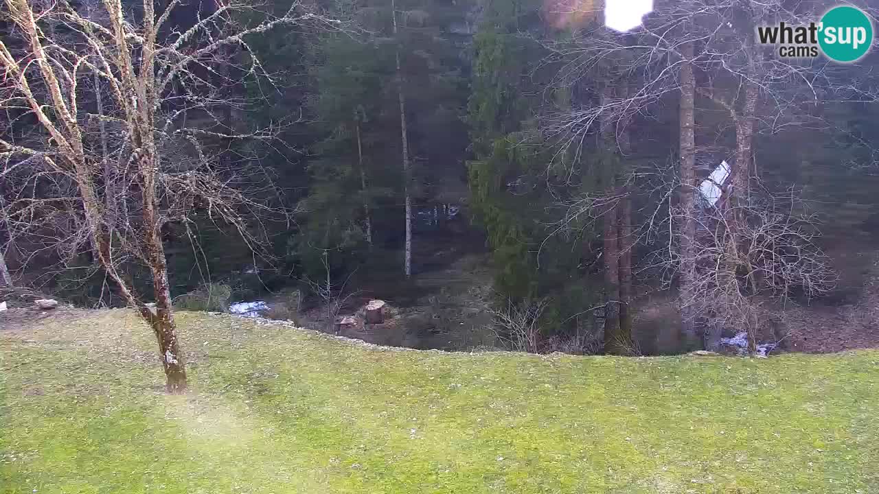 Webcam Lukanja – Water Village | Pohorje Houses