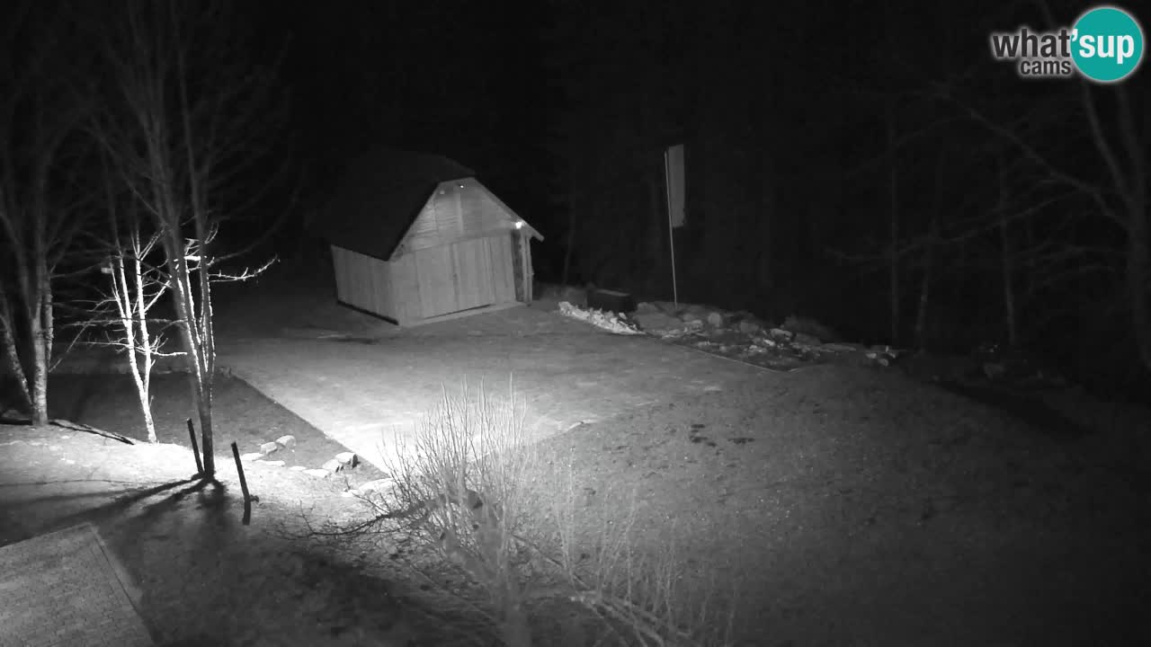 Webcam Lukanja – Pohorje houses a Water village