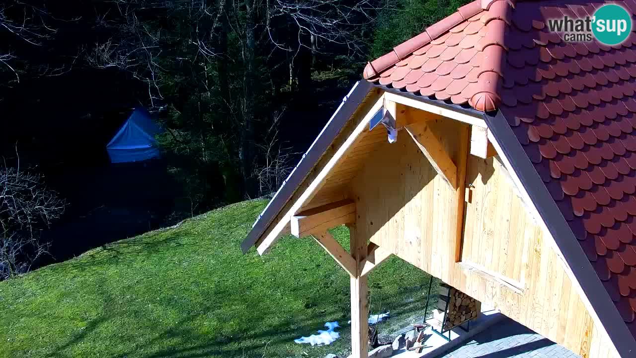 Webcam Lukanja – Pohorje houses a Water village