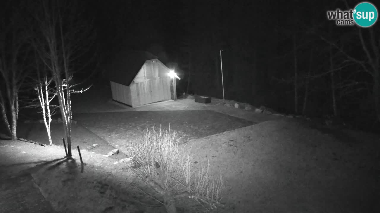 Webcam Lukanja – Water Village | Pohorje Houses