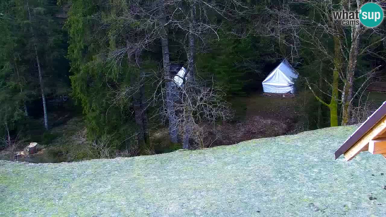 Spletna kamera Lukanja – Water Village | Pohorje Houses