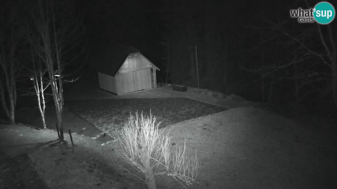 Spletna kamera Lukanja – Water Village | Pohorje Houses