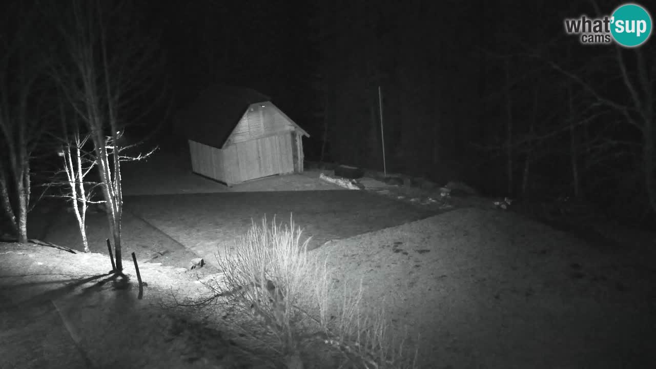 Webcam Lukanja – Pohorje houses a Water village