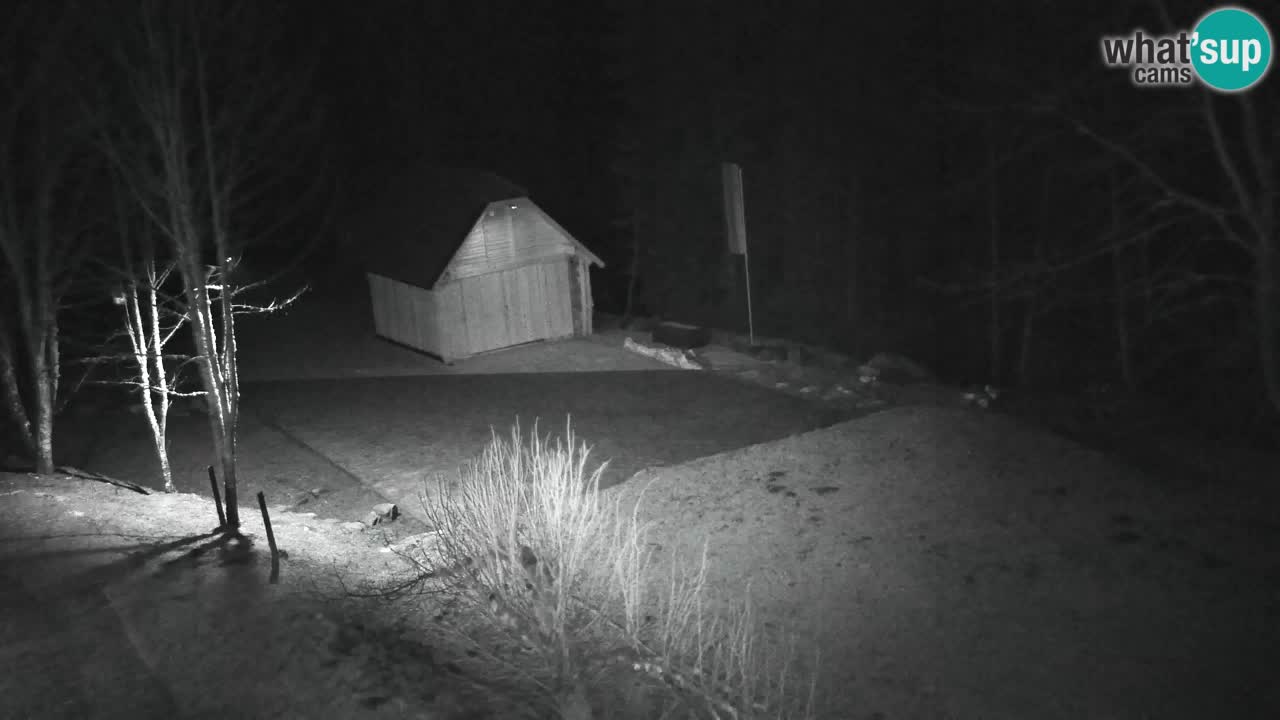 Webcam Lukanja – Pohorje houses a Water village