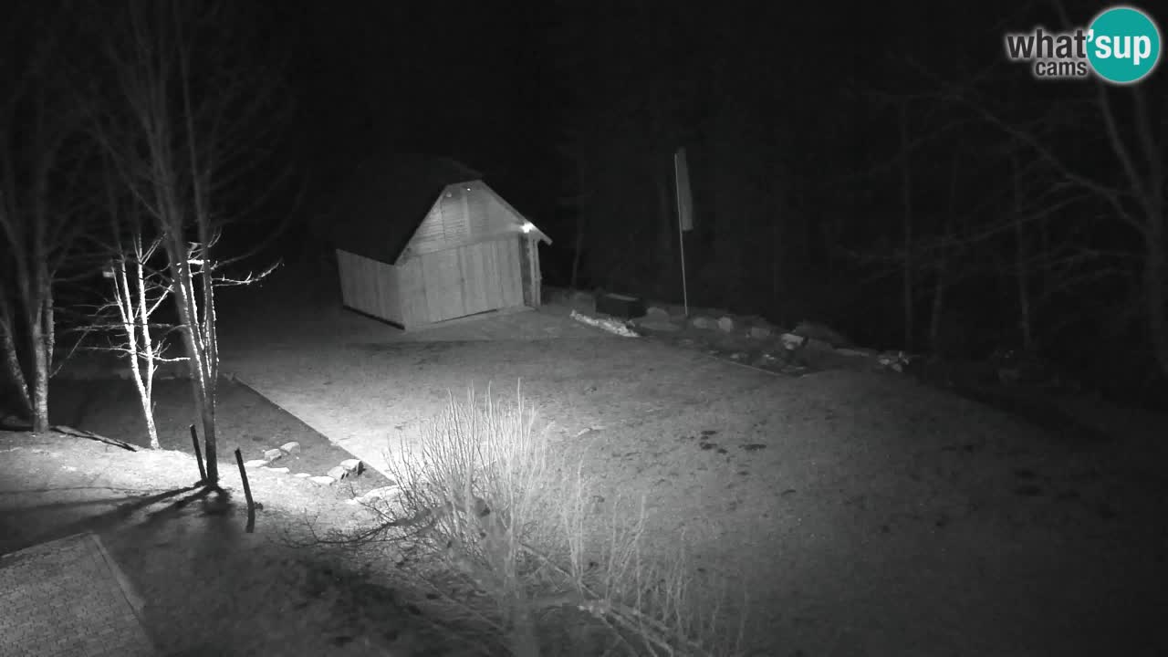 Webcam Lukanja – Pohorje houses a Water village