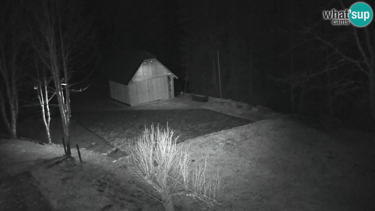 Spletna kamera Lukanja – Water Village | Pohorje Houses