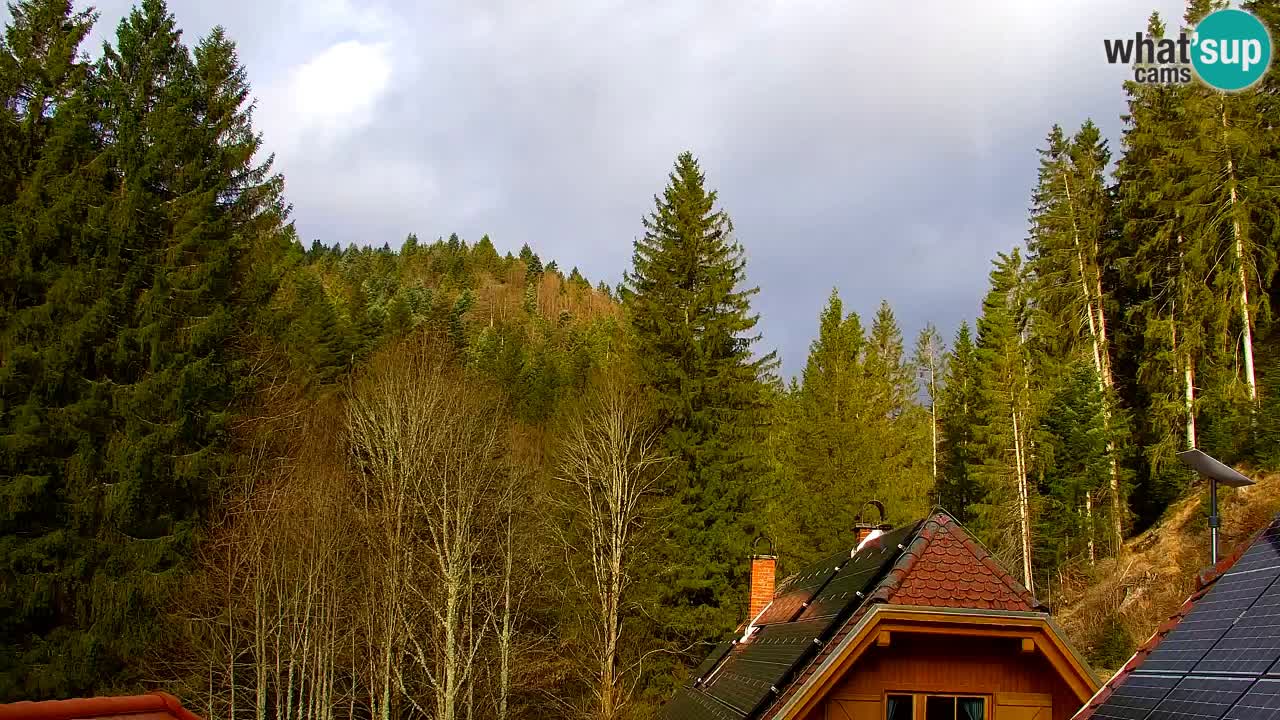 Webcam Lukanja – Pohorje houses a Water village