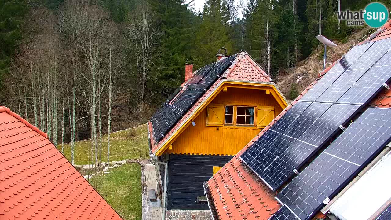 Webcam Lukanja – Water Village | Pohorje Houses