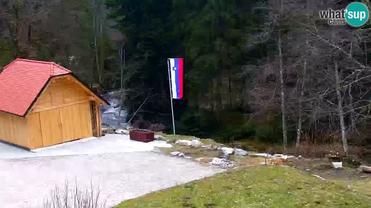 Webcam Lukanja – Pohorje houses a Water village