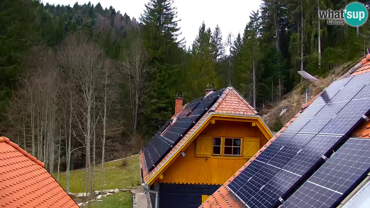 Webcam Lukanja – Water Village | Pohorje Houses