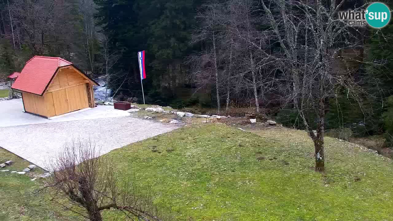 Spletna kamera Lukanja – Water Village | Pohorje Houses