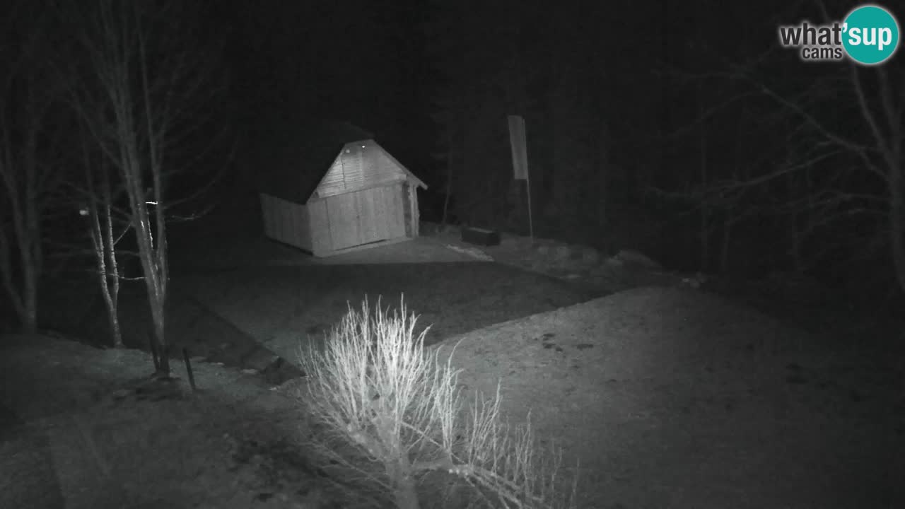 Webcam Lukanja – Water Village | Pohorje Houses