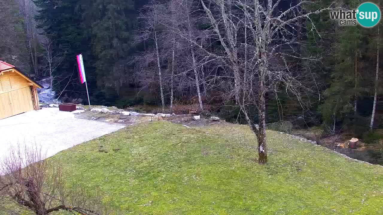 Webcam Lukanja – Pohorje houses a Water village