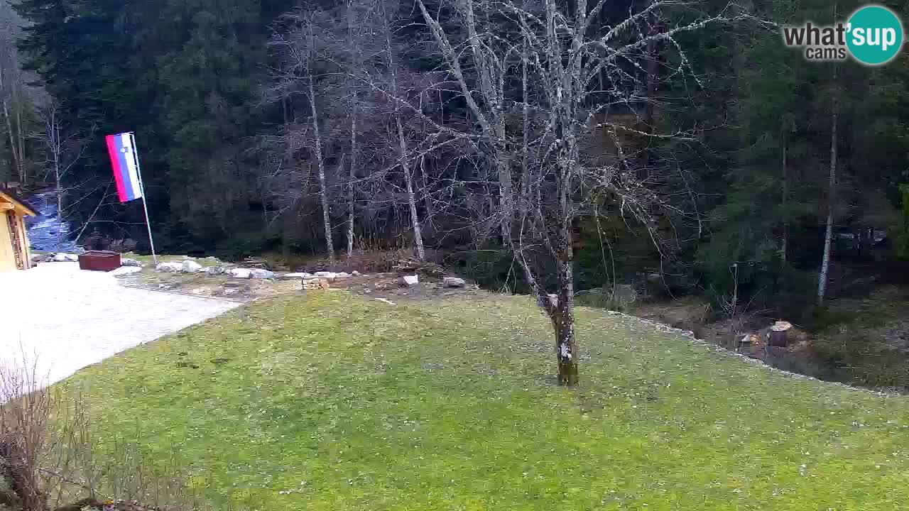 Webcam Lukanja – Water Village | Pohorje Houses