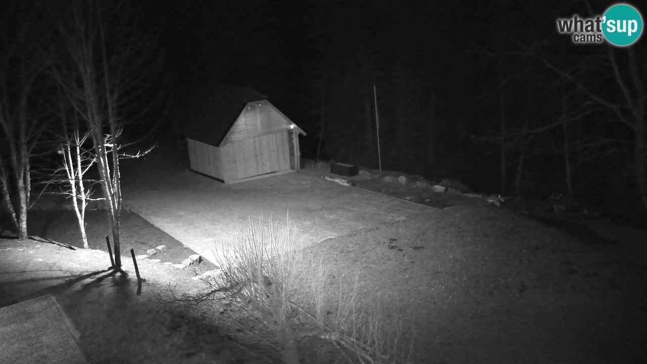 Webcam Lukanja – Pohorje houses a Water village