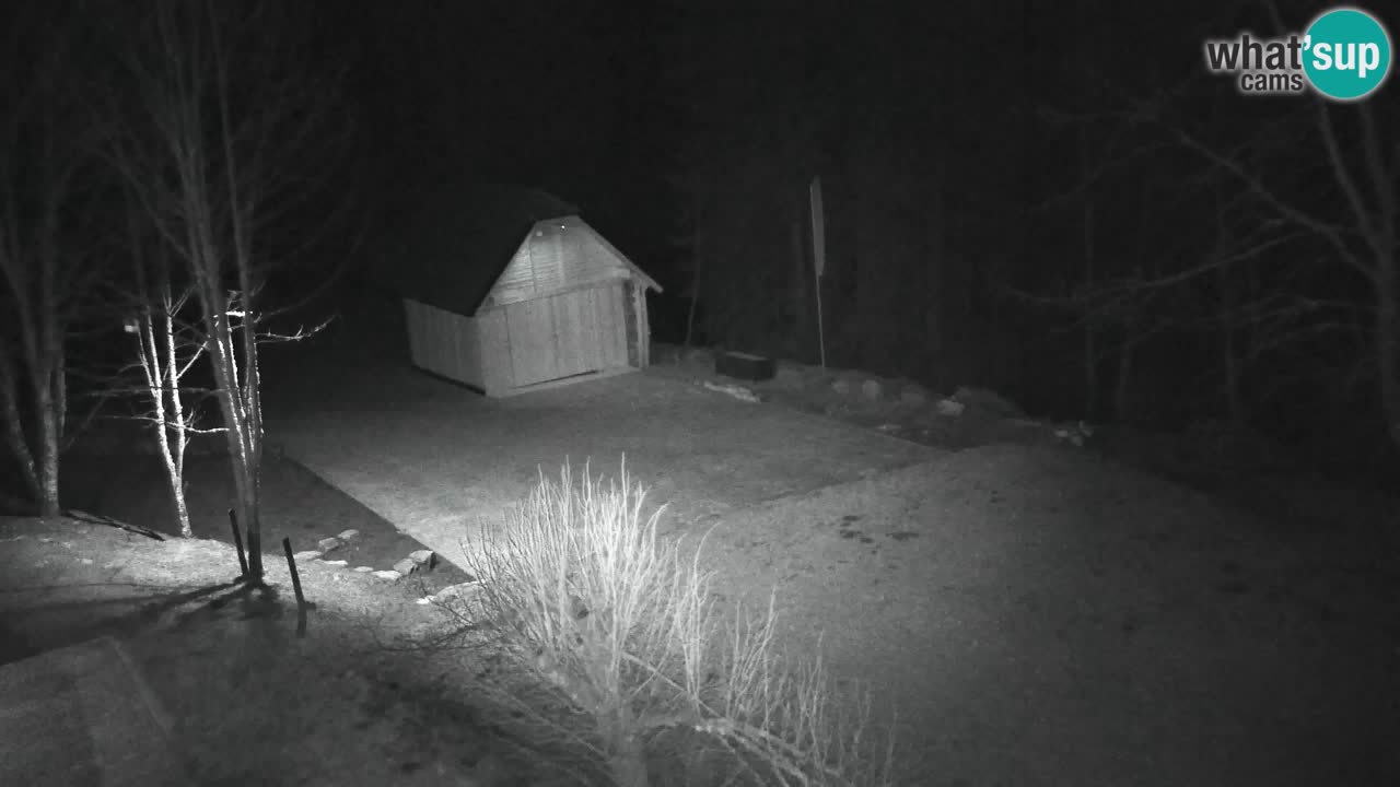 Webcam Lukanja – Pohorje houses a Water village