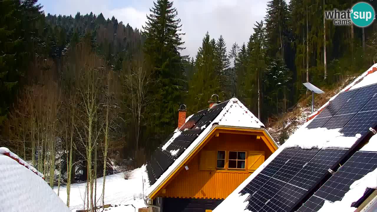 Webcam Lukanja – Pohorje houses a Water village