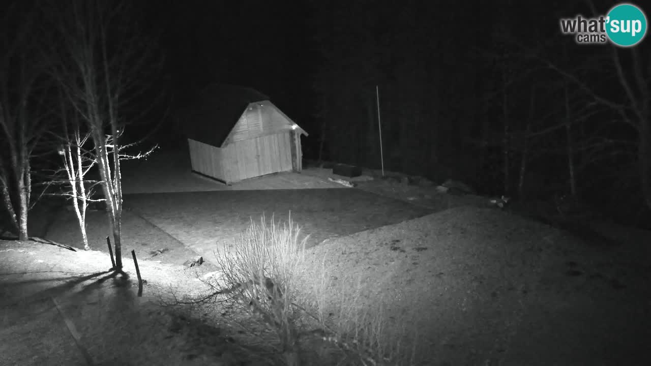 Webcam Lukanja – Pohorje houses a Water village