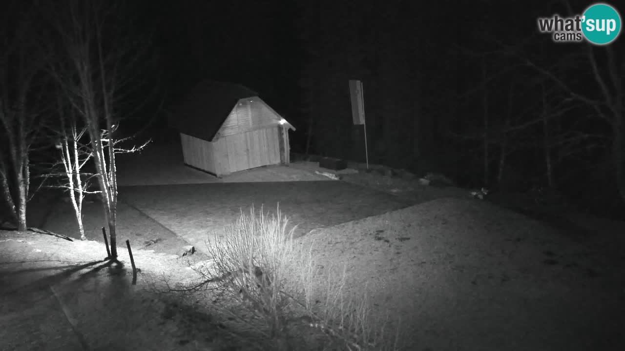 Webcam Lukanja – Water Village | Pohorje Houses