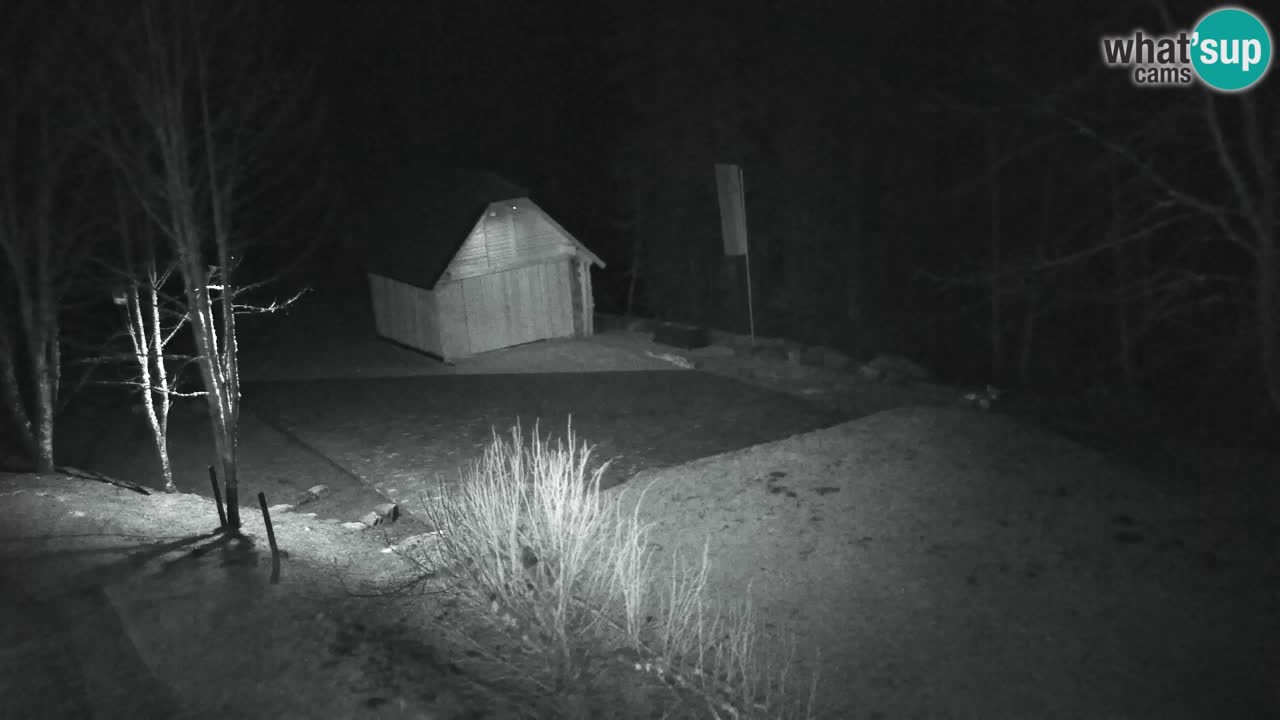 Webcam Lukanja – Pohorje houses a Water village