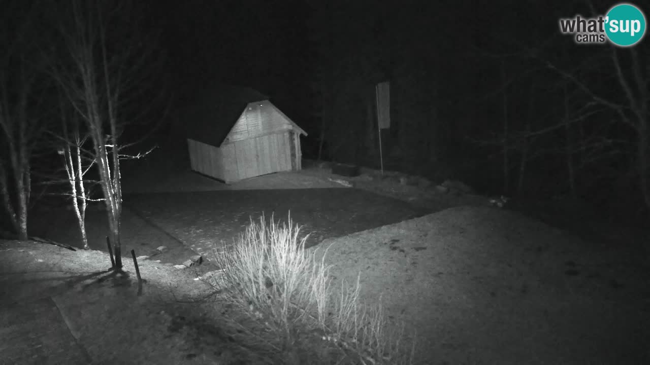 Webcam Lukanja – Pohorje houses a Water village