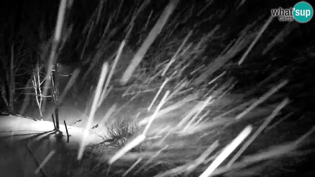 Webcam Lukanja – Water Village | Pohorje Houses