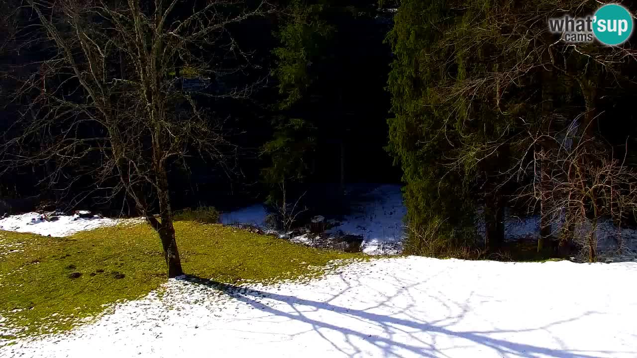 Webcam Lukanja – Pohorje houses a Water village